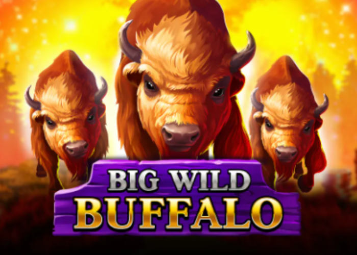 Big Wild Buffalo